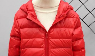 羽绒服和棉服的区别 羽绒服什么绒最好