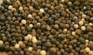 干胡椒的保存方法