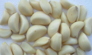 蒜的去皮方法 蒜的去皮方法视频