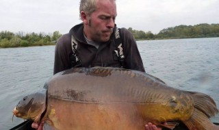 放生鲤鱼的好处 放生鲤鱼的好处是什么