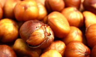 糖板栗怎么保存方法（糖板栗怎么保存方法视频）