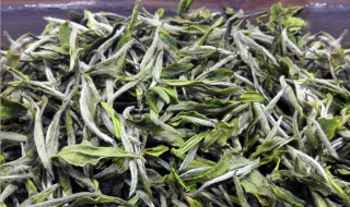 保存生茶的方法 生茶保存时间