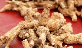 西洋参有什么作用和功效 女人喝西洋参有什么作用和功效