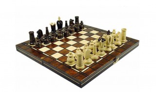 国际象棋怎么玩新手入门（象棋新手入门）
