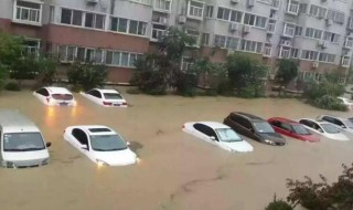 泡水车为什么不能要（泡水车为什么不能要买过二手车的来说说）
