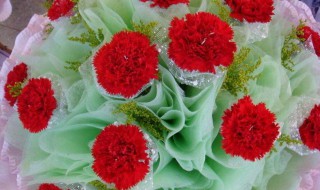 教师节送什么花好送几朵 教师节送什么花好最合适