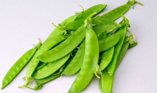 荷兰豆长大了就叫豌豆吗（荷兰豆长大了就叫豌豆吗?）