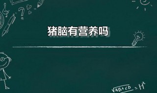猪脑有营养吗 猪脑有营养吗百度百科