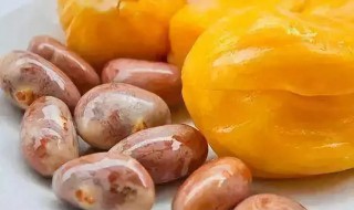 菠萝蜜核吃中毒了怎么回事（菠萝蜜核吃中毒了怎么办）