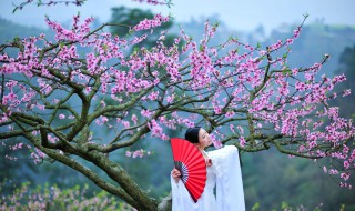 沐浴桃花是什么意思 沐浴桃花是什么意思是什么