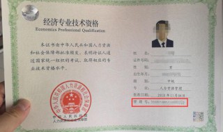 证件编号是什么意思（证件编号是什么意思怎么填）