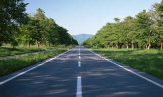 y是什么道路编号（y002是什么道路编号）