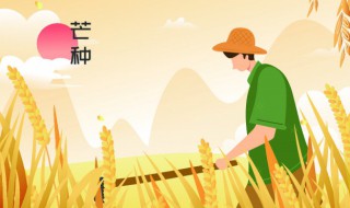 24节气分别是什么（24节气分别是什么时间）