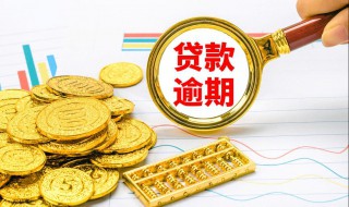 短期借贷有哪些（短期借款有哪些）