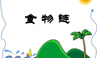 食物链的顶端是什么 食物链的顶端是什么动物