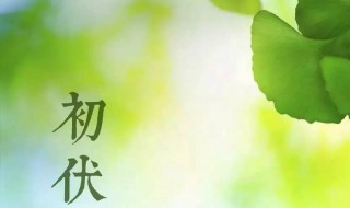 2021年初伏是哪一天 2021年初伏是哪一天?