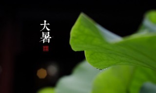 大暑要注意什么 大暑要注意什么视频