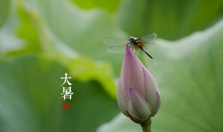 大暑过后还热吗（过了大暑天气还热吗）