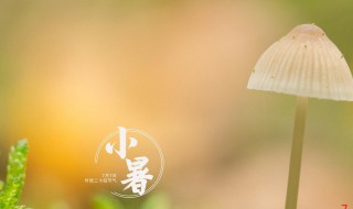 2021小暑是什么时间（2021小暑是什么时间?）