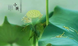 2021小暑节气的禁忌（2021年小暑节气的含义是什么意思）