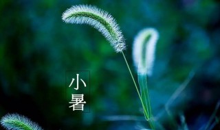 2021年小暑是什么时候（小暑是几月几日2021年）
