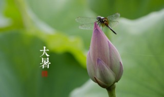 大暑是什么时间 大暑是几月份