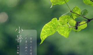 小暑下雨意味着什么 小暑这天下雨意味着什么