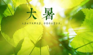 大暑节气如何养生 大暑节气养生小知识