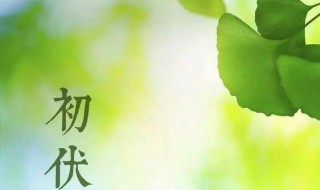 小暑煲什么汤养生开胃?（小暑煲什么汤养生开胃呢）