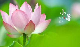 小暑气候特点怎样养生（小暑的节气特点）