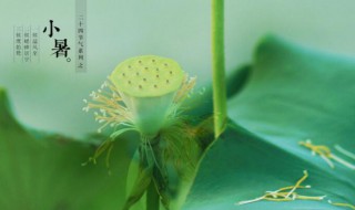 小暑是伏天吗 小暑是伏天吗还是秋天