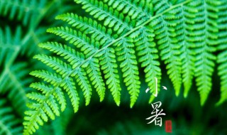 小暑大暑哪个热（大暑跟小暑哪个热）