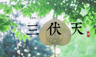 2021年初伏是几月几日 2021年末伏是几月几日