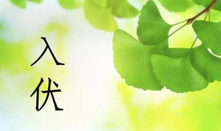 2021哪天入伏哪天出伏 2021年哪天入伏入伏