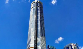 赛格大厦什么时候建的（赛格大厦啥时候建的）