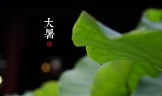 大暑养生美食 大暑养生美食图片