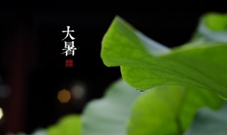 大暑的注意事项（大暑的注意事项安全度过大暑）
