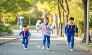 学生暑假安全注意事项有哪些（学生暑假假期安全注意事项）