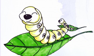 养蚕注意事项（养蚕注意事项有哪些）