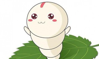 怎么养蚕宝宝才不会死? 为什么养的蚕宝宝死了