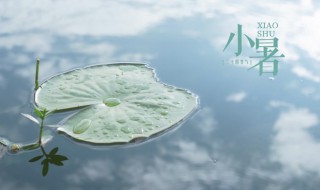 小暑时节养生注意事项有哪些 小暑节气养生注意事项有哪些