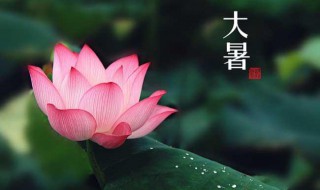 大暑三大疾病日常生活不得不防 大暑三大疾病日常生活不得不防疫
