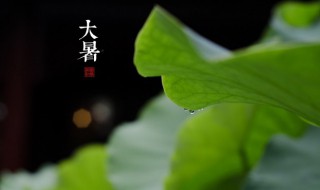 大暑需补气去火哪些食物最合适? 大暑需补气去火哪些食物最合适吃