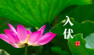 二零二一年入伏时间（二0二一年入伏时间）