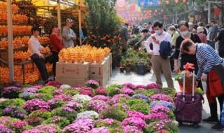 木绣球怎么养?（木绣球怎么养）