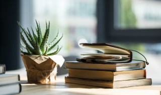 芦荟怎么养才能长的好?（芦荟怎么养才能长的好一点）