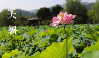 2021年大暑民间活动（2021年大暑具体时间）