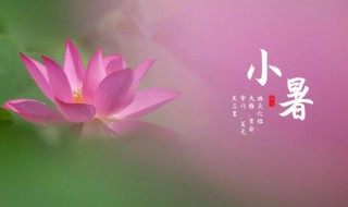 2021年小暑节气意思的简单说明（2021年小暑节气是哪天）