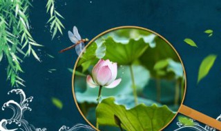 大暑养生要点离不开粥和水（大暑养生的关键）