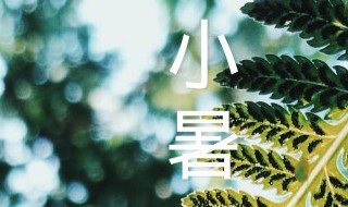 小暑农事歌（小暑儿歌童谣）